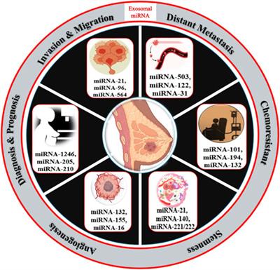 Exosomal miRNAs as novel avenues for breast cancer treatment